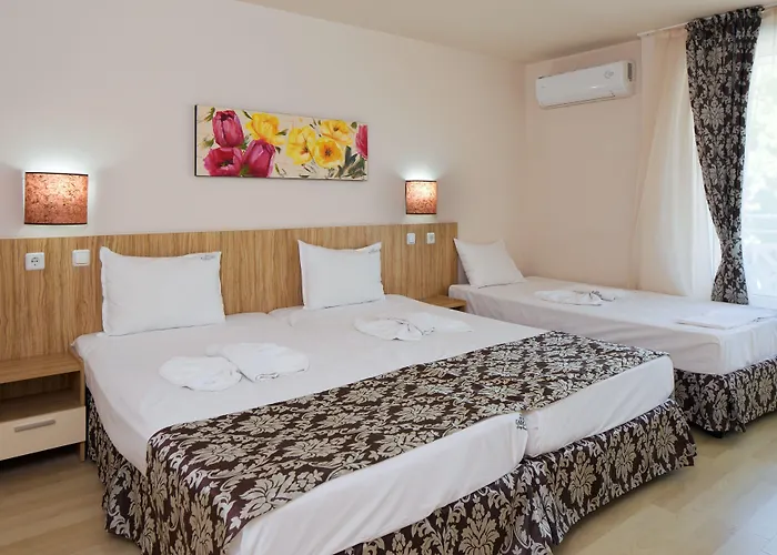 酒店 卡尔洛沃酒店 阳光海滩