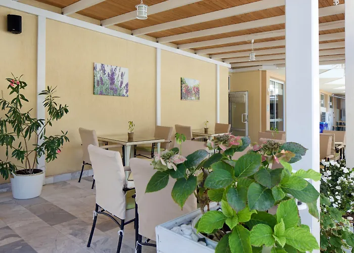 卡尔洛沃酒店 酒店