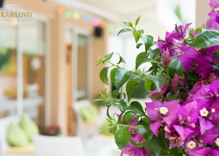 酒店 卡尔洛沃酒店