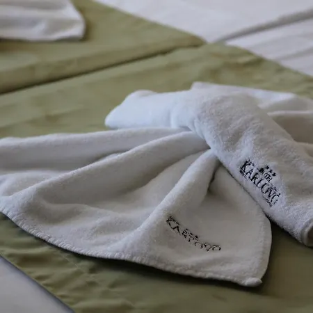 Hotel Karlovo 3*