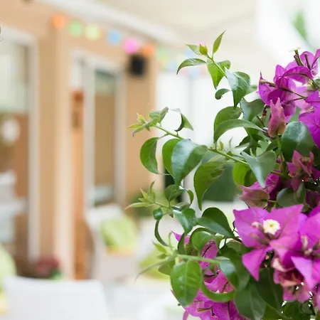 Ξενοδοχείο Karlovo